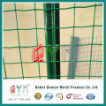 Popular China Fence Welded Euro Mesh